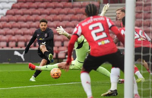 What's a Bingo Game?